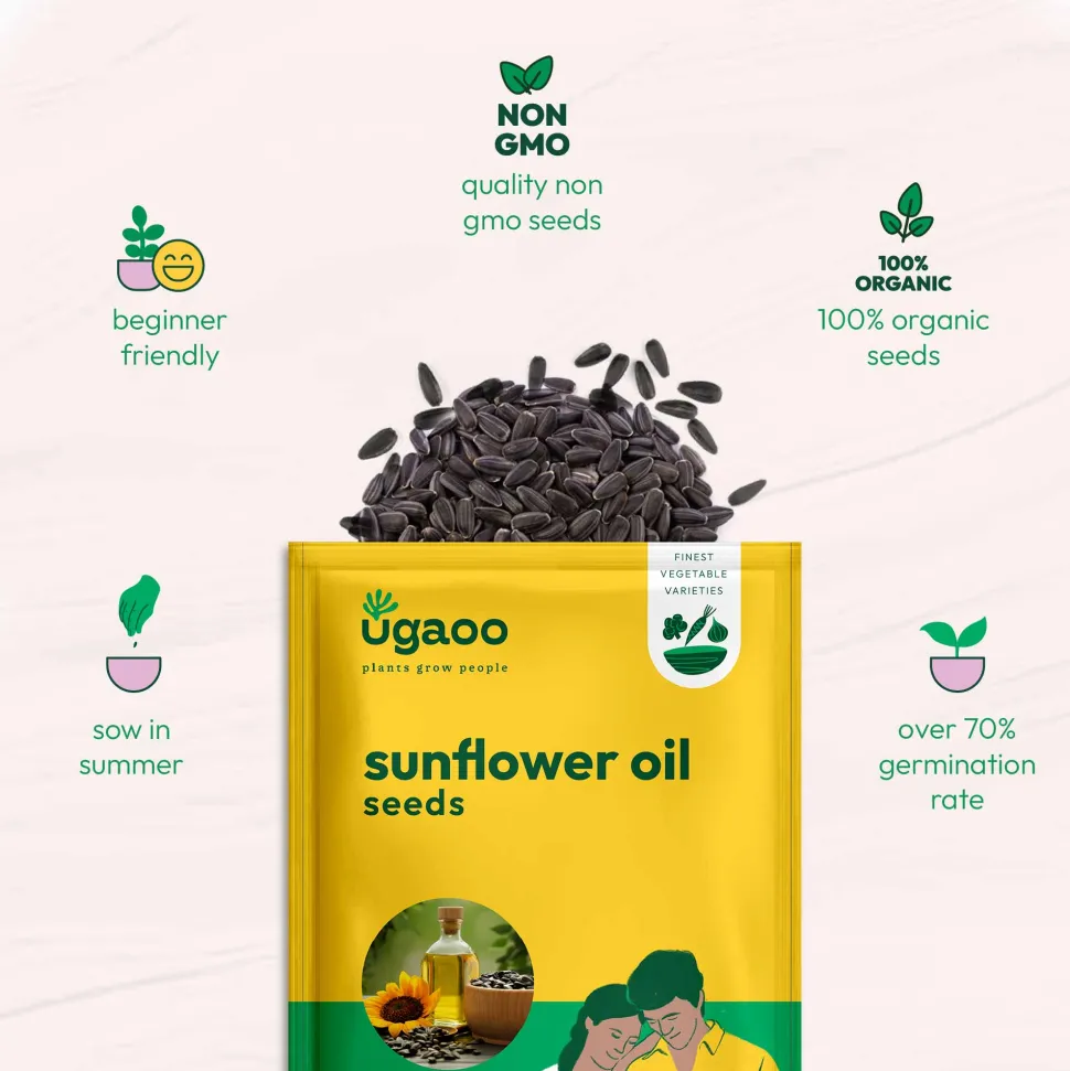 Sunflower Oil Seeds