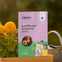 Sunflower Sungold Seeds