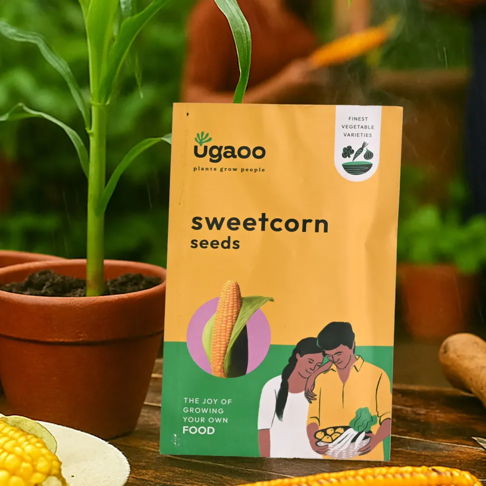 Sweetcorn Seeds