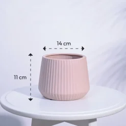 Synth Ceramic Pot