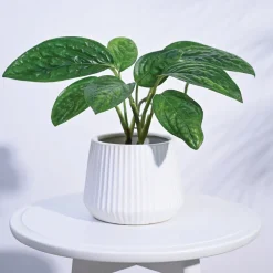 Synth Ceramic Pot