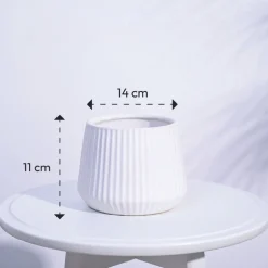 Synth Ceramic Pot