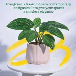 Synth Ceramic Pot