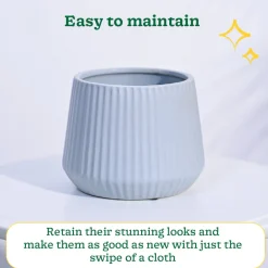 Synth Ceramic Pot