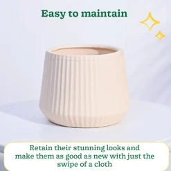 Synth Ceramic Pot