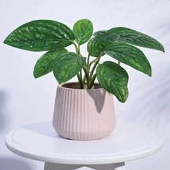 Synth Ceramic Pot
