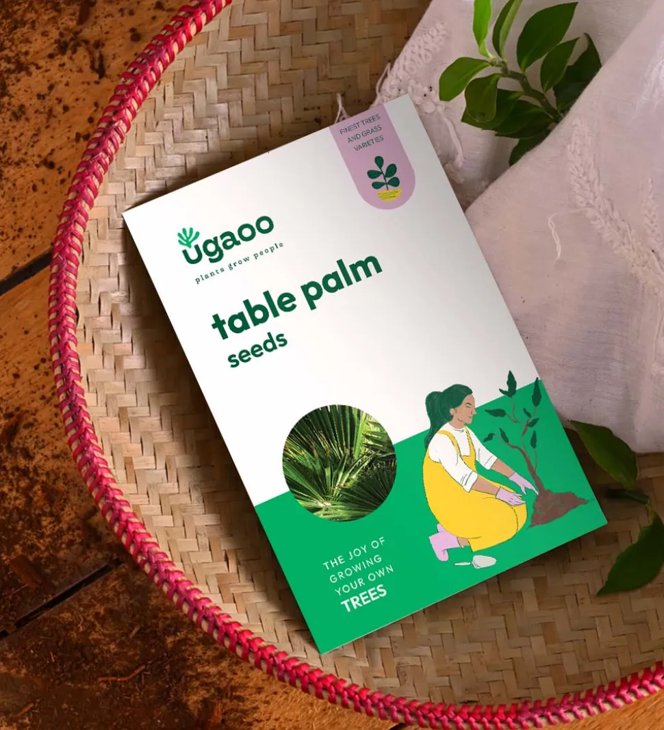 Table Palm Seeds - 100 g