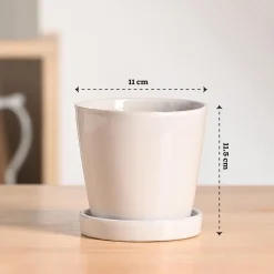 Table Top Ceramic Pot