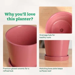 Table Top Ceramic Pot