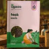 Teak Seeds (Tectoma Grandis) - 100 g