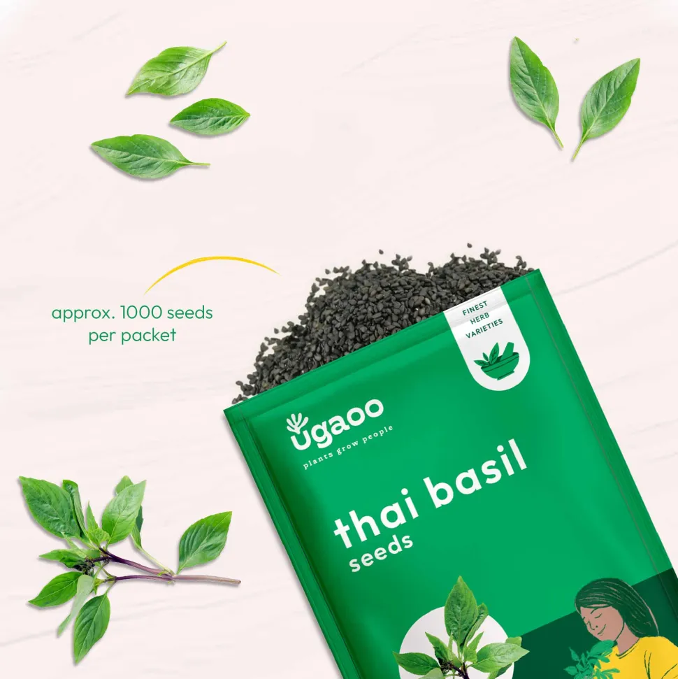 Thai Basil (1000 Seeds)