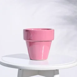 The Dream Ceramic Pot