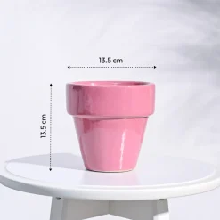 The Dream Ceramic Pot