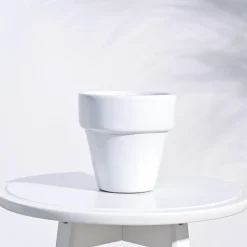 The Dream Ceramic Pot