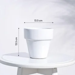 The Dream Ceramic Pot