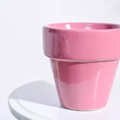 The Dream Ceramic Pot