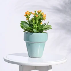 The Dream Ceramic Pot