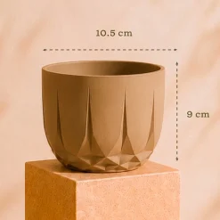 The Echo Planter