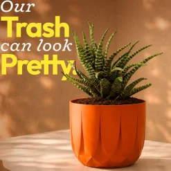 The Echo Planter