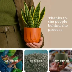 The Echo Planter