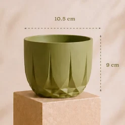 The Echo Planter