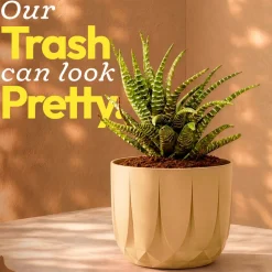 The Echo Planter