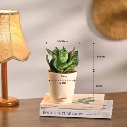 The Green Living Combo ( Bundle of 6 )