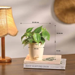 The Green Living Combo ( Bundle of 6 )
