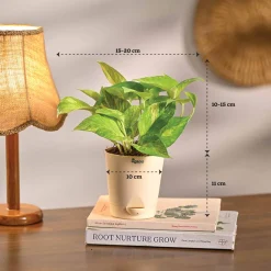 The Green Living Combo ( Bundle of 6 )