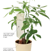 The Watermatic Stake - Easy XL - Pack of 2