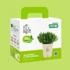 Thyme Grow Kit