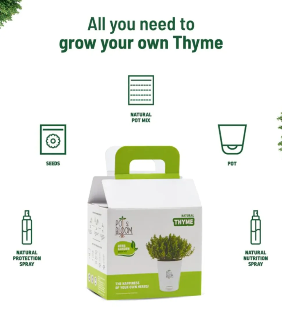 Thyme Grow Kit