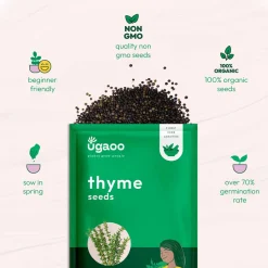 Thyme Seeds