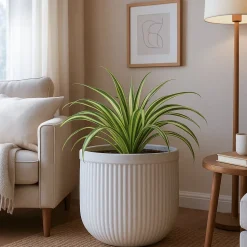 Tokyo Round Planter