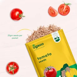 Tomato Seeds