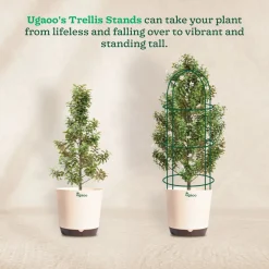 Trellis Plant Support Stands - Set of 3