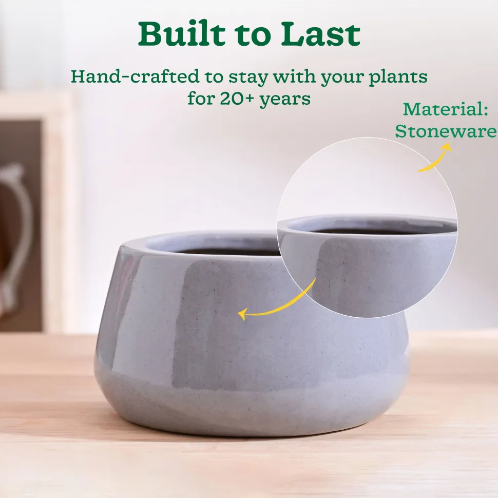 Tulip Fantasy Bowl Ceramic Planter