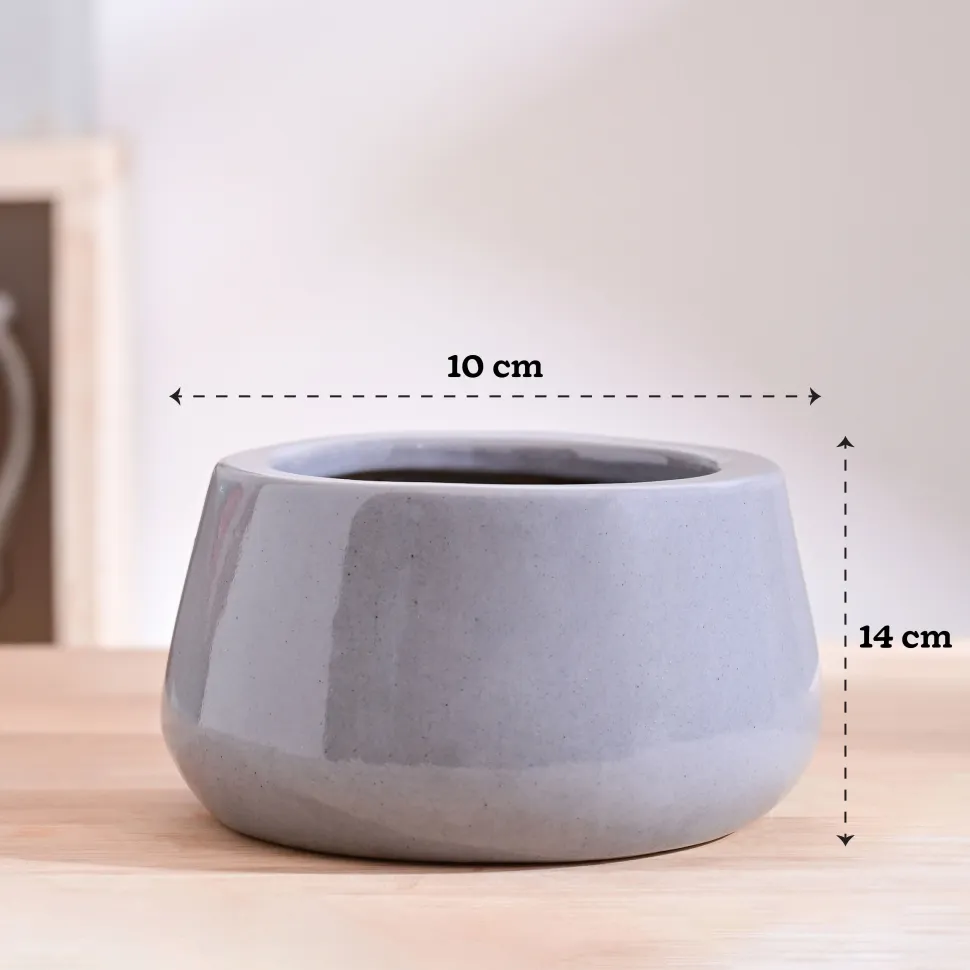 Tulip Fantasy Bowl Ceramic Planter