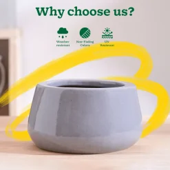 Tulip Fantasy Bowl Ceramic Planter