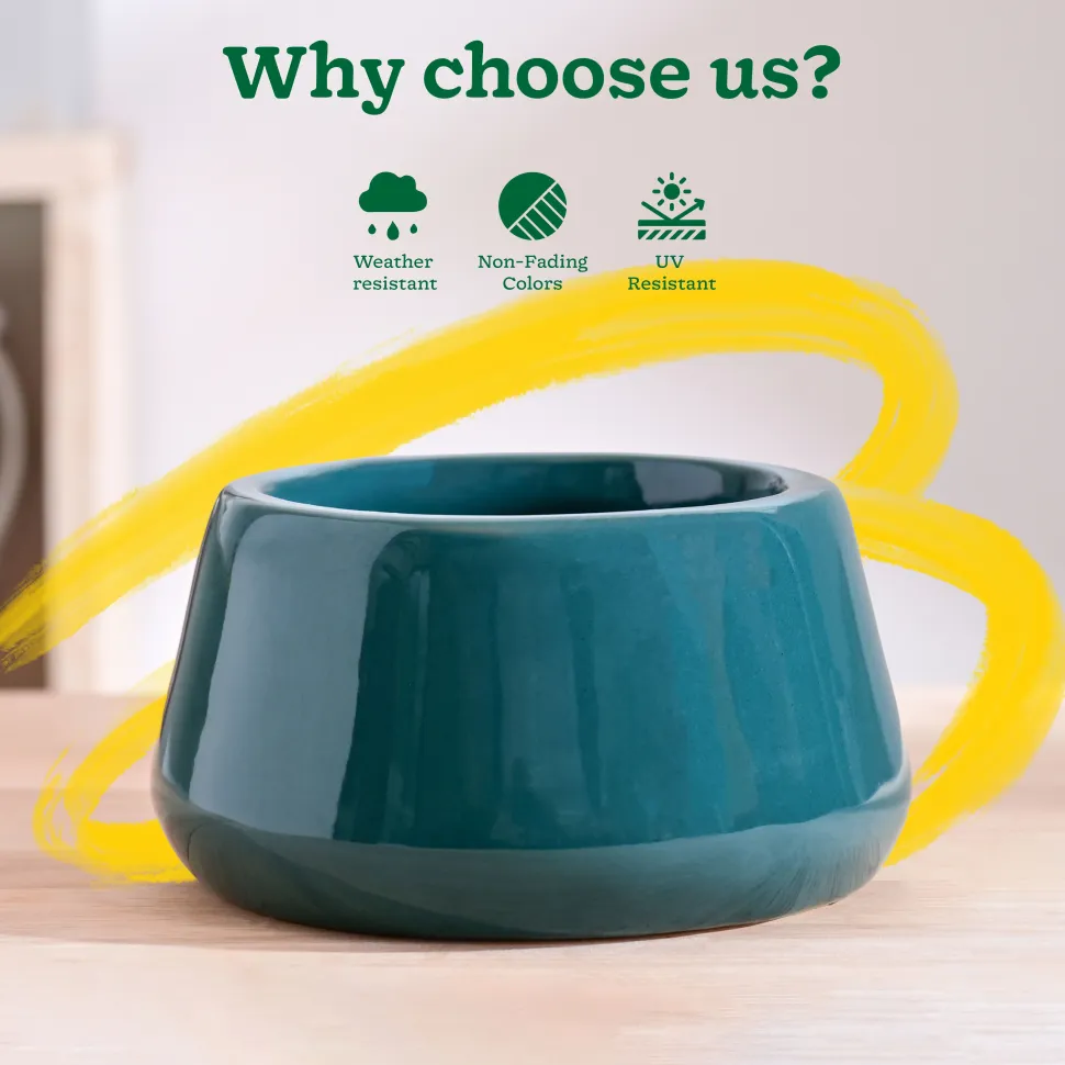 Tulip Fantasy Bowl Ceramic Planter