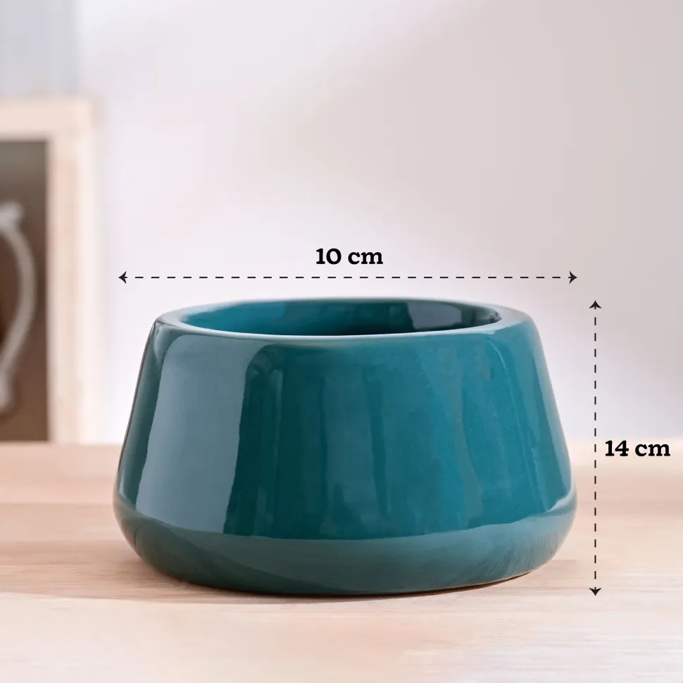 Tulip Fantasy Bowl Ceramic Planter