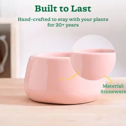 Tulip Fantasy Bowl Ceramic Planter