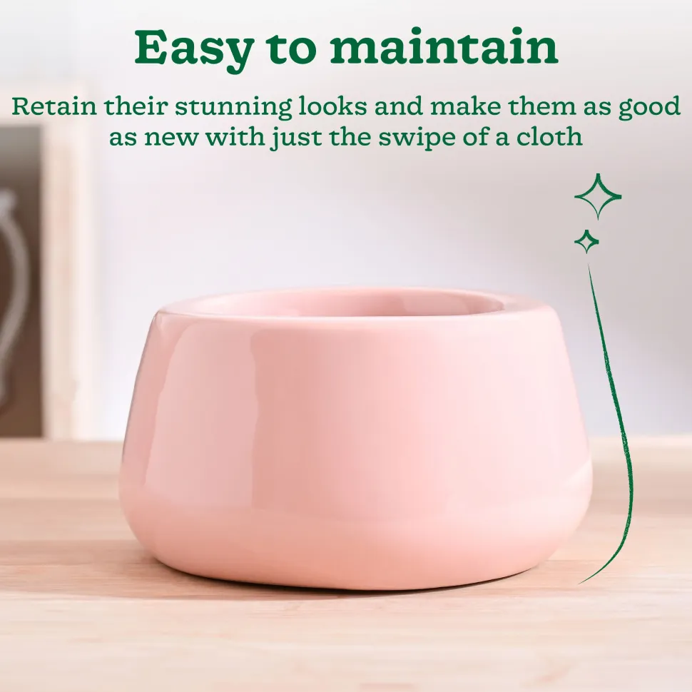 Tulip Fantasy Bowl Ceramic Planter
