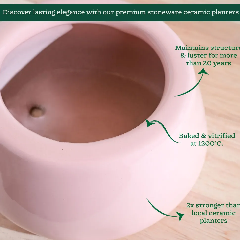 Tulip Fantasy Bowl Ceramic Planter