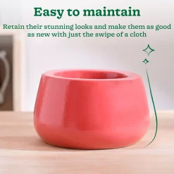 Tulip Fantasy Bowl Ceramic Planter