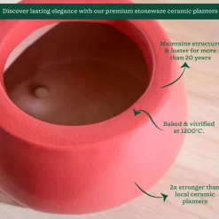 Tulip Fantasy Bowl Ceramic Planter