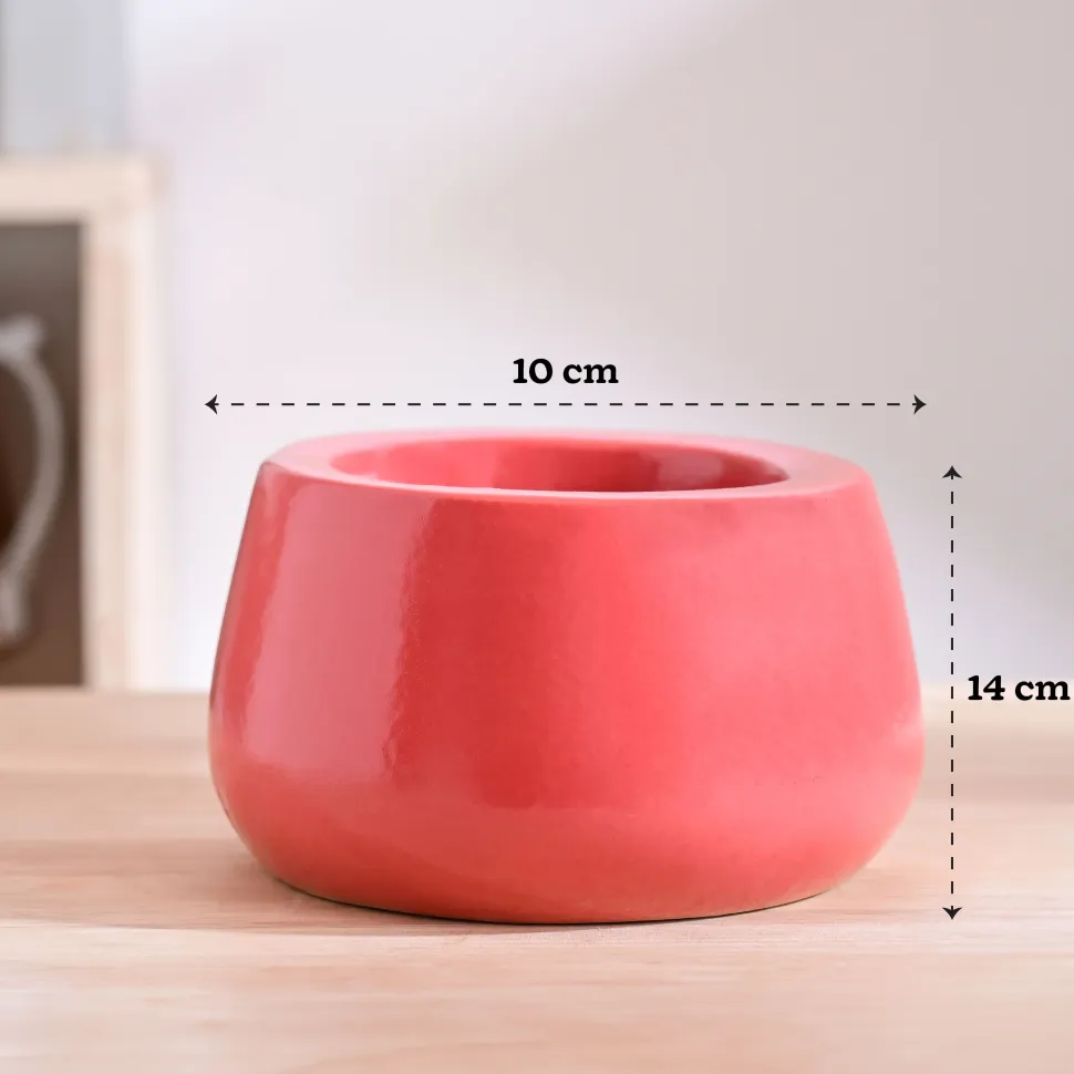 Tulip Fantasy Bowl Ceramic Planter
