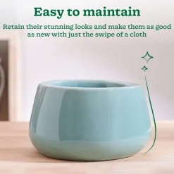 Tulip Fantasy Bowl Ceramic Planter