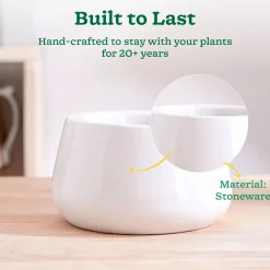 Tulip Fantasy Bowl Ceramic Planter
