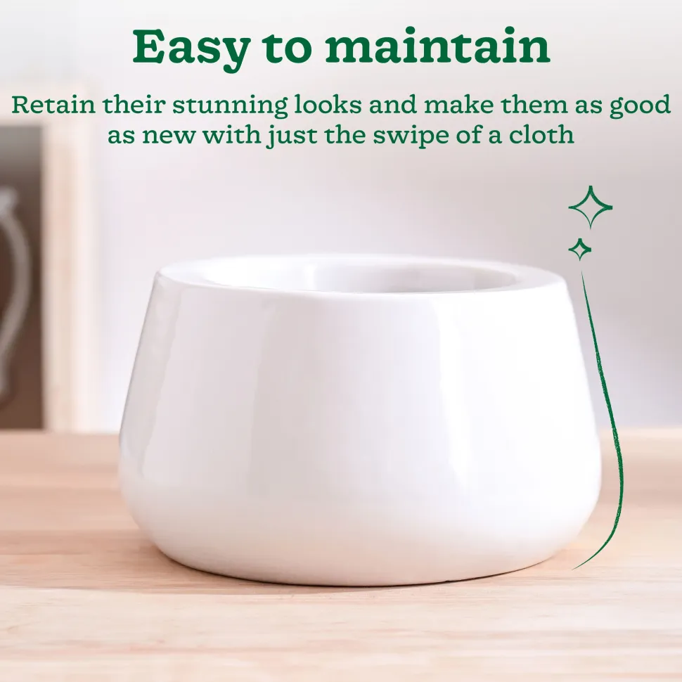 Tulip Fantasy Bowl Ceramic Planter